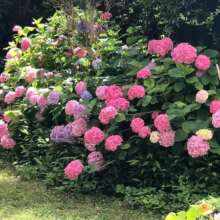 شقة Terrazza Sul Giardino - Vaticano E Stadio Olimpico روما