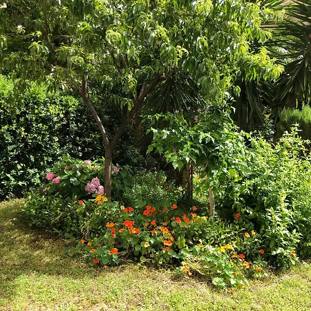 Terrazza Sul Giardino - Vaticano E Stadio Olimpico شقة *